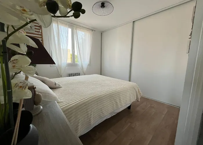 T2 30m2 Climatise Avec Jardin Proche De La 아파트 식스포즈레스플라지스